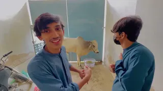 Finally abdul_mj ki cow agaii ❤️ || eid 1st day Mubarak ||