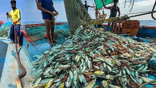 AMAZING! 🤩 We Caught Tons of Mackerel and Trevally Fish in a Single Catch! 😃WOW!"