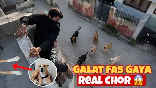 Chor Ghar Me Fas Gaya 😱 | Street Dog Pluto
