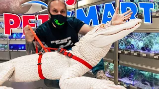 TAKING MY ALBINO ALLIGATOR TO PETSMART TO PICK OUT AN OUTFIT!! | BRIAN BARCZYK
