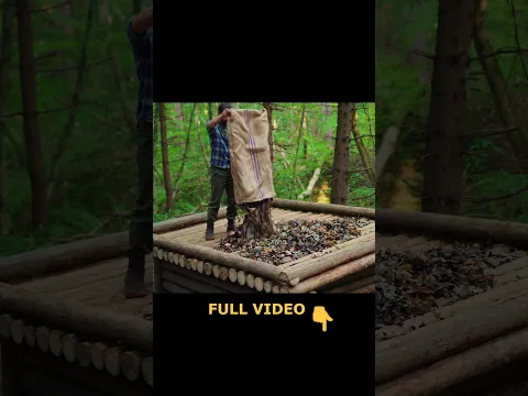 Building a natural dugout shelter. Roof. #bushcraftimprovisation #bushcraft