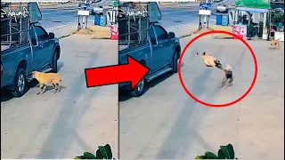 5 IMPACTANTES VÍDEOS que NO TIENEN EXPLICACIÓN - Parte 13 / Mundo Misterioso