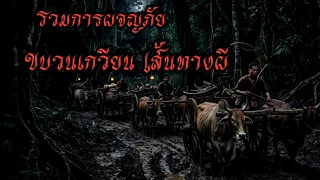 รวมเรื่องราวขบวนเกวียน ในดงผีป่า #เล่าเรื่อง #ghost #horror #เล่าเรื่องผี 