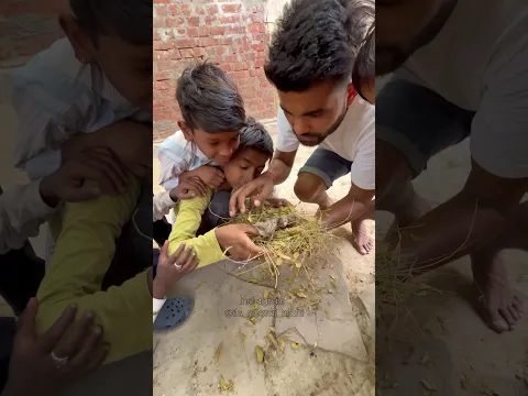 Chidiya Ke Bachche 🥹|#shorts #ytshorts #trending #youtubeshorts #minivlog #vlog
