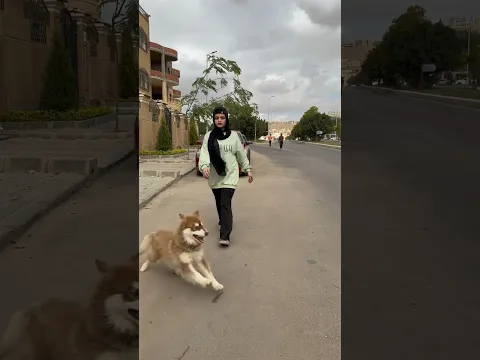 لقيت كلب صغير 😍😁 نانو وام سيف