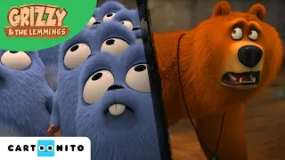 Grizzy i lemingi | Hokus-pokus-lemingus! | Cartoonito
