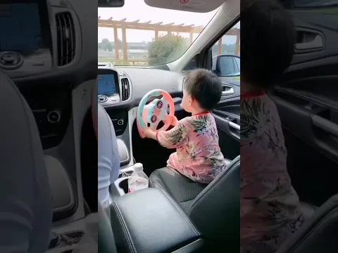 Car Steering Wheel Toy