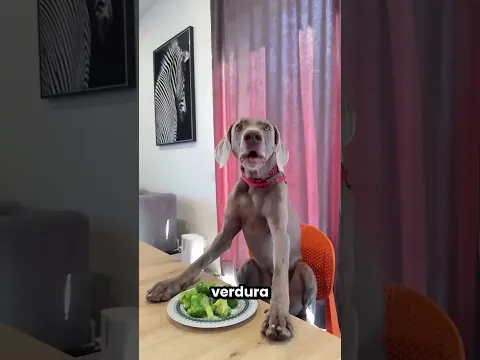 La Señora Le Dio Verdura A Sus Perros 🤮