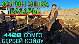 ЭШКА БАЗАРДА ЖАШ БАЛДАР СООДАНЫ КЫЗЫТТЫГО 🤣 #horse 