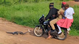 Funny Comedy Skit 😂 