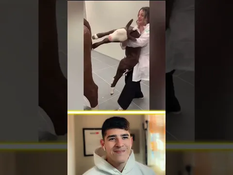 Memes I Found On TikTok 💀 #2