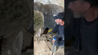 يخرج الرصد من الجرا متشكلن ￼😨