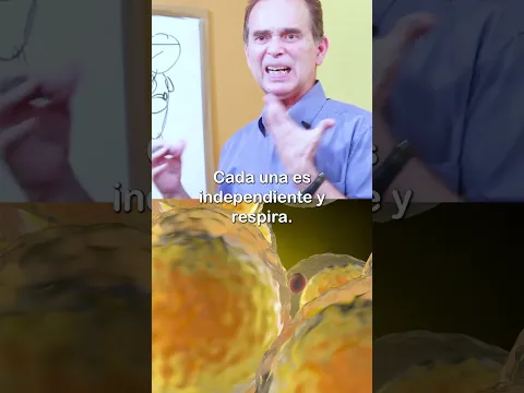 Esto Afecta Tu Piel