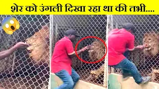 शेर से पंगा लेना पड़ गया भारी..|| Scariest Animal Encounters Caught On Camera #mrfactz