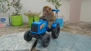 🐒 ट्रैक्टर में फँसा बंदर 😭 | बिल्ली आई मदद करने | Cartoon tractor Monkey Video | Factu Super 
