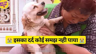 इसका दर्द कोई समझ नही पाया 😭 |