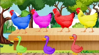 Bebek dan Ayam warna warni |ayam berkokok|ayam rainbow|ayam pelangi