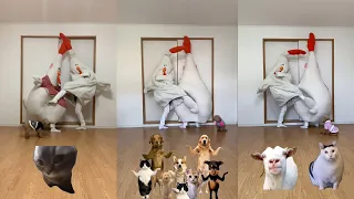 【猫ミーム総集編】ちょうどいい音がすると思ったら母でしたver.