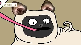 Cute Puppy, Gross Things | Weird Helga