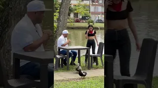 LE PROPONGO UN TRÍO
