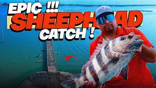 Epic Sheepshead Catching on South Padre Island Bridge | Top Fishing Techniques