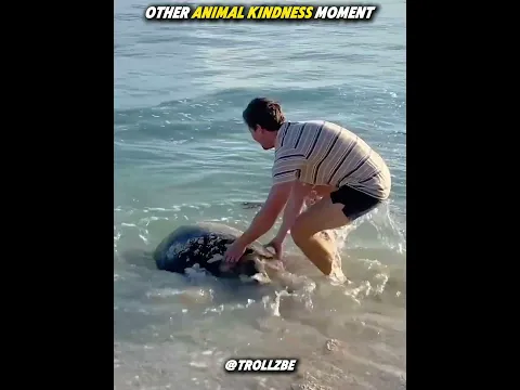 Best Acts of kindness #fyp #usa #unitedstates