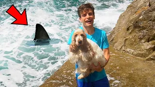 LA NOSTRA CUCCIOLA FA IL BAGNO NEL MARE!!!