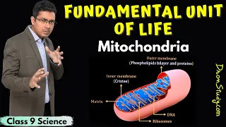 Mitochondria | Fundamental Unit of Life | Class 9 Science | CBSE | NCERT
