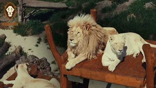 Pozývame vás k nám do Malkia Parku