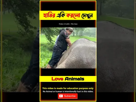 হাতির সাথে একি করছে? Emotional Story of Elephant 🐘 @TBM_Short_Story #shorts #elephant #short #animals