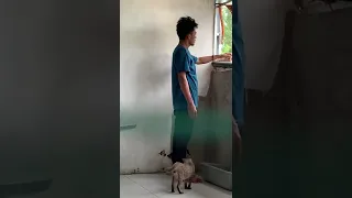 Kucing ini hidup sendirian di rumah makan yang sudah lama tutup dan jauh dari rumah penduduk