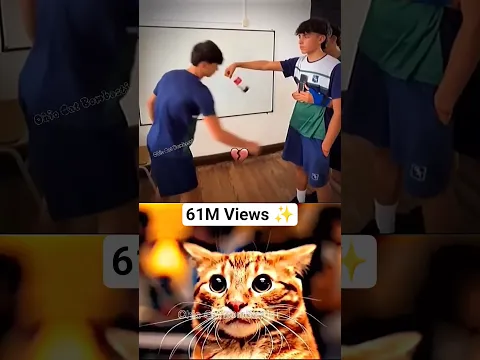 DAY-663 TECHNOLOGIAA 🐱 #technologia #cat #memes