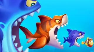 Aquarium Crush 🐠🐠🐠 #aquarium crush gameplay #top game
