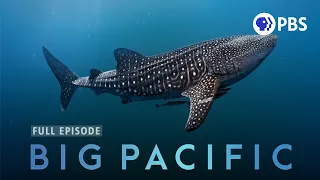 The Mysteries of Earth's Largest Ocean | Big Pacific | Full Episode 1 | PBS