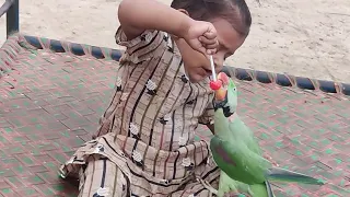 Mithu Ney Aj Cute Baby Se Tofi Cheen Li || Pets Vlog 13 August 2024 || Anwar Shah Ustrana Official