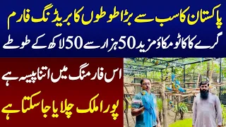 Biggest Parrot breeding Farm In Pakistan with unbelievable business