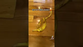 Estoy enojado!!😡