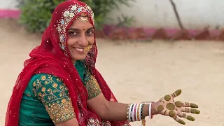 सोजत गॉंव की मेंहदी खेत से हाथ में लगाने तक की मेहनत 😍