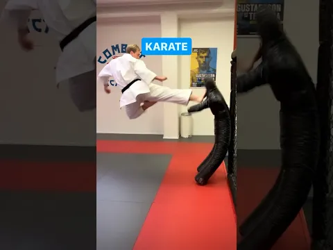 Karate vs. Master Ken 👊