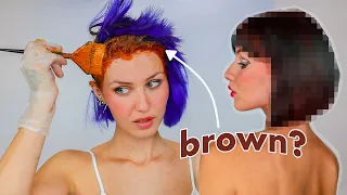 impulsively dyeing my hair dark brown