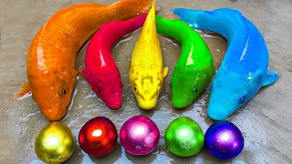 Fun Adventures of Koi Fish Beneath the Mud | Koi Fish Stop Motion