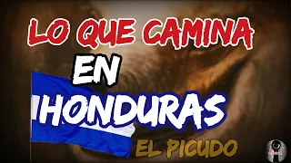 EL TERROR " EL PICUDO " DE HONDURAS MITOS Y LEYENDAS