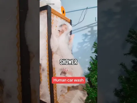 This Man Just Made A Human Car Wash 😅 (⁠@josephsmachines)