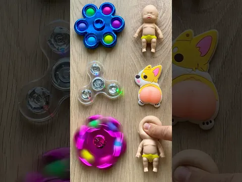 Squishy Corgi Fidgets Fun! #satisfying #squishy #corgi #fidget #funny #shorts