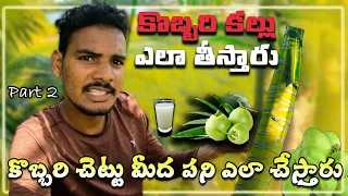 కొబ్బరి కల్లు ఎలా తీస్తారు || How to Make Coconut Nira || Full Explaned Telugu