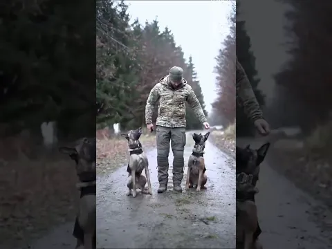 ВІРНІ ❤️‍🔥