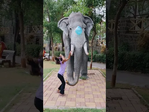Elephant 🐘🎈........?