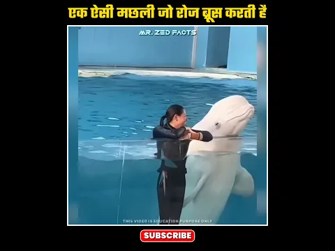 एक ऐसी मछली जो रोज Brush करती है 🤔👀 | Most Inteligent Whale #shorts
