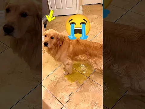 #audios