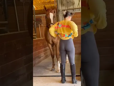 beautiful girl ready to horse riding 🐎🔥#funnyexpression #reactionshorts #rosting #horseriding